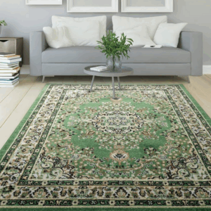 Best rug cleaning service