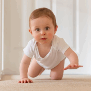 Hypoallergenic Carpet Cleaning, Baby Crawling on Carpet