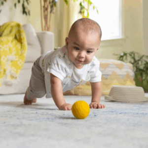 Hypoallergenic Carpet Cleaning, Baby Crawling on Carpet