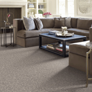 Modern home with clean carpet