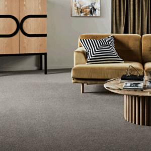 Modern home with clean carpet